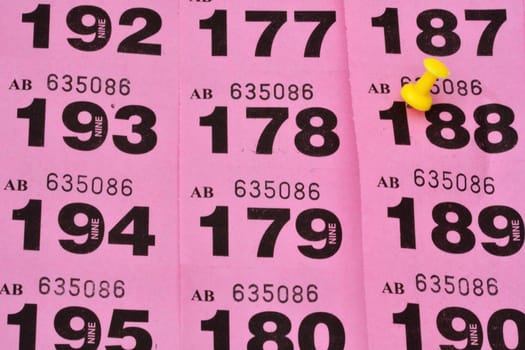 rows of raffle tickets with winner highlighted