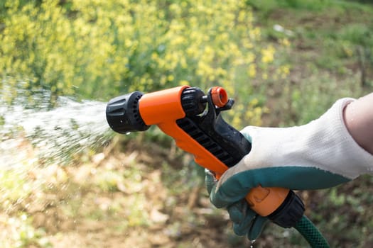 Female hand holding sprinkler. Water is sprayed on the field