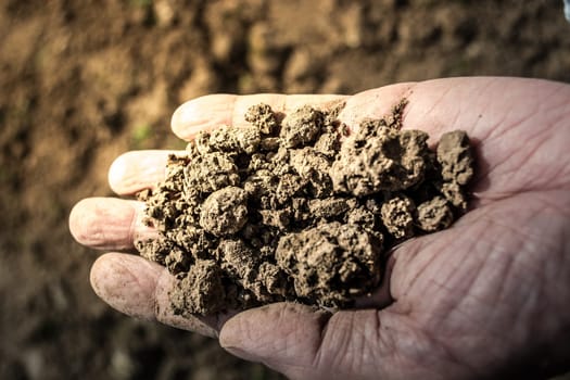 Old man hand holding soil with field in the background