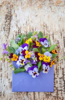 Colourful Strauss Fruehlingsflowers in a small envelope