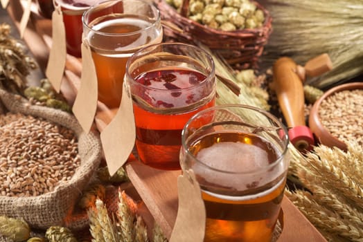 Beer carriers with many different beers,wheat,barley,hops and malt