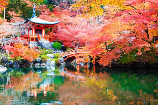 Kyoto, Japan - Nov 24, 2013