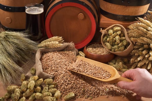 Beer and beer barrels with wheat,barley,hops and malt