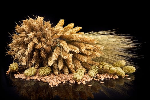 Beer ingredients – wheat,barley,hops and malt insulated on black