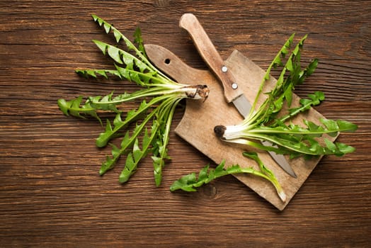 Fresh dandelion on wooden background overhead shoot