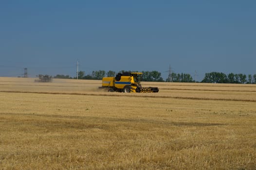 the farm vehicle harvests cereal cultures