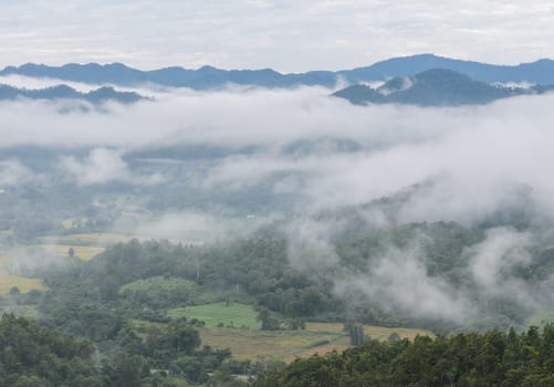 Landscape mountain with sea of fog in Maehongson Province, Thailand