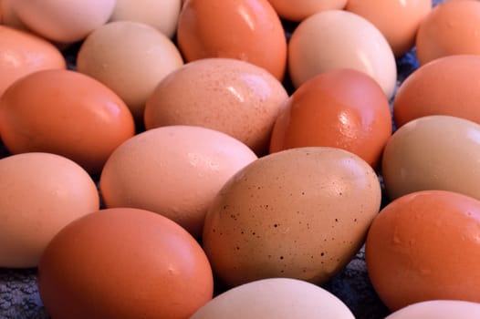 Fresh laid yard eggs, washed and laid on a blue towel to dry.