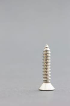 Single screw on gray background