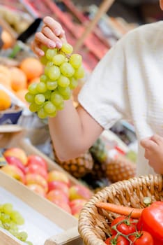 Woman choosing a bunch of grapes