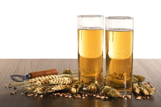 Two Kölschbiergläser with wheat,barley,hops and malt