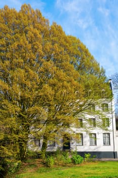 picture of an old building in Maastricht, The Netherlands