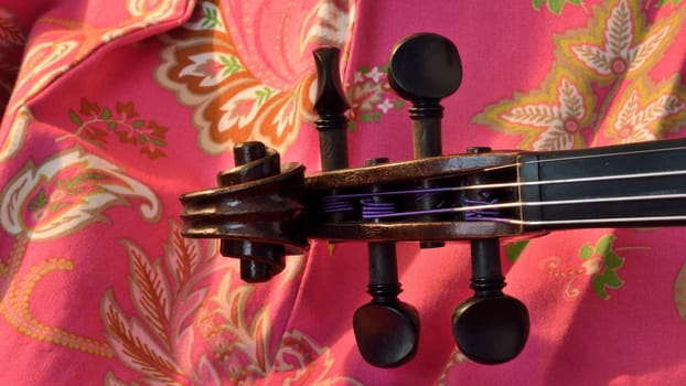Panorama of an antique violin's scroll and strings against a pink paisley background.Violin is an antique from the early 1800's in a dark stain (original finish).