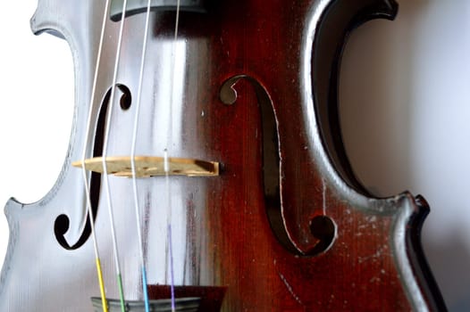 Antique violin against white backround.Violin is an antique from the early 1800's in a dark stain (original finish).