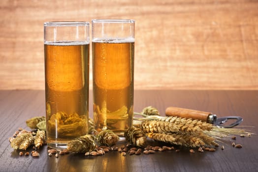 Two Kölschbiergläser with wheat,barley,hops and malt