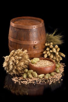 Beer ingredients – wheat,barley,hops and malt insulated on black