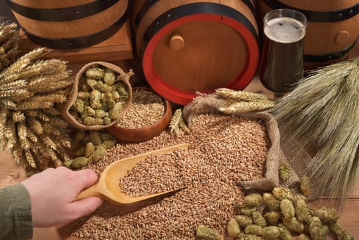 Beer and beer barrels with wheat,barley,hops and malt