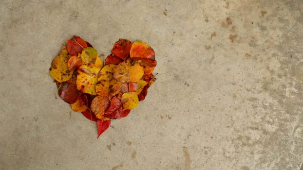 Beautiful autumn leaves in the shape of a heart against a textured concrete background. Great Thanksgiving background.