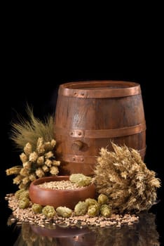 Beer ingredients – wheat,barley,hops and malt insulated on black