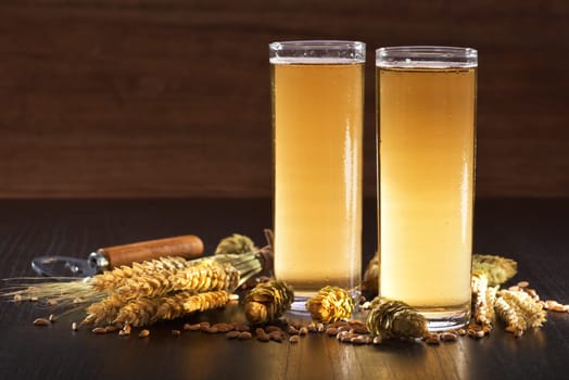 Two Kölschbiergläser with wheat,barley,hops and malt