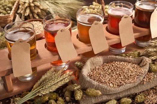 Beer carriers with many different beers,wheat,barley,hops and malt