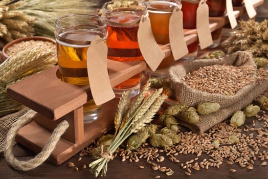 Beer carriers with many different beers,wheat,barley,hops and malt