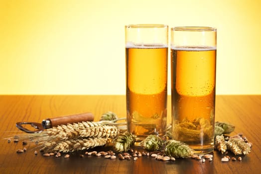 Two Kölschbiergläser with wheat,barley,hops and malt in yellow light