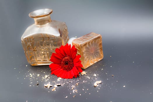 The Perfume