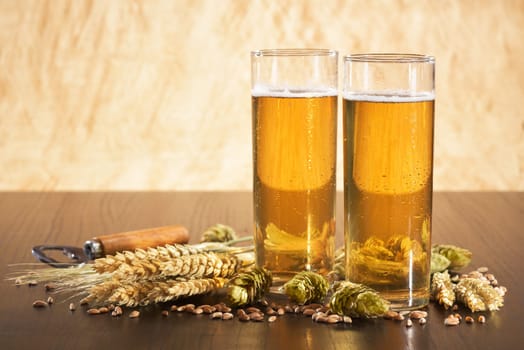 Two Kölschbiergläser with wheat,barley,hops and malt