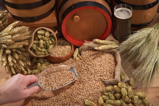 Beer and beer barrels with wheat,barley,hops and malt