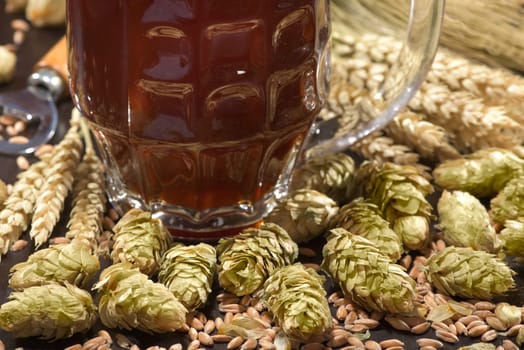 Beer glass with beer barrels,wheat,barley,hops and malt
