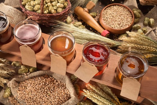 Beer carriers with many different beers,wheat,barley,hops and malt