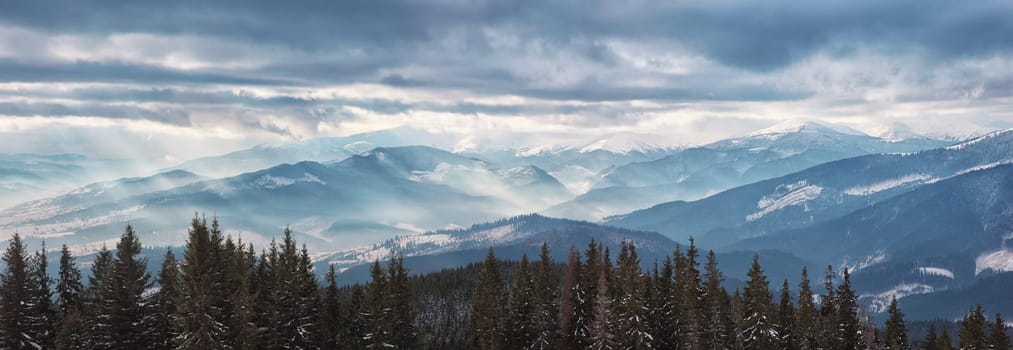 Winter landscape in the Carpathians panorama