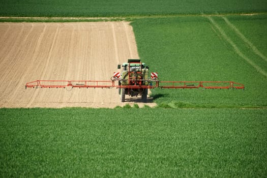 A tractor sprays a cornfield with chemical fertilizers.