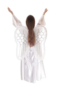 An angel in a long white satain dress with wings and long brown hair standing.standing from the back with both arms raised isolated for white background..