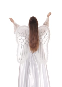 An angel in a long white satain dress with wings and long brown hair standing .from the back with both arms raised isolated for white background..