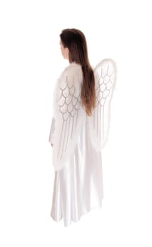 An angel in a long white satain dress with wings and long brown hair.standing in profile isolated for white background..