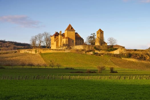 Pierreclos Chateau in Burgund,Frankreich - Chateau Pierreclos in Burgundy,France