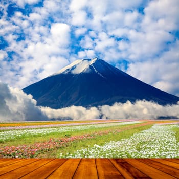 The imaging of beautiful landscape with nice nature color
