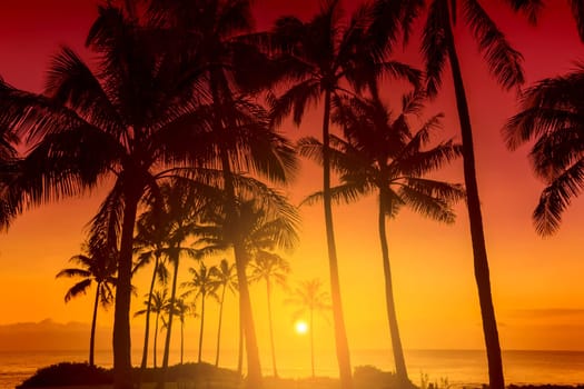 Tropical sunset