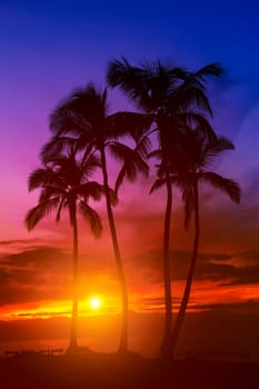 Tropical sunset