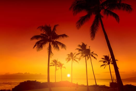 Tropical sunset