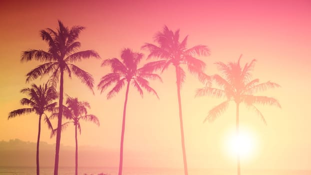 Tropical sunset