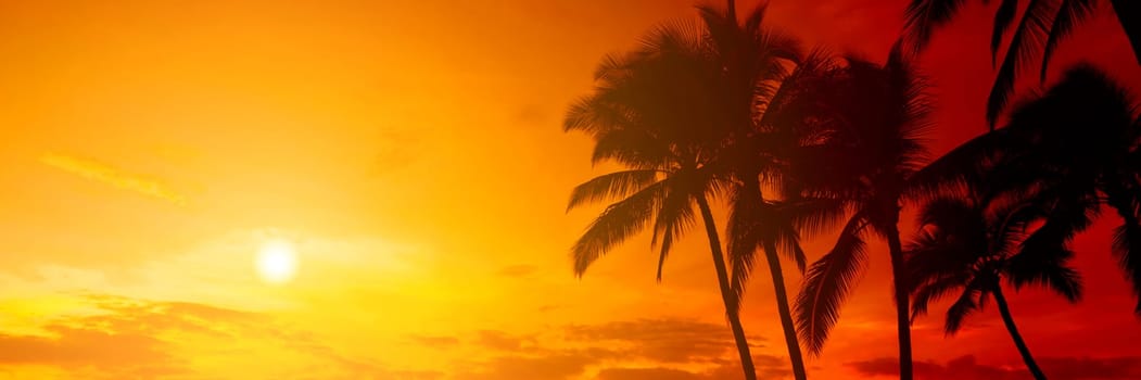 Tropical sunset