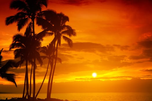 Tropical sunset