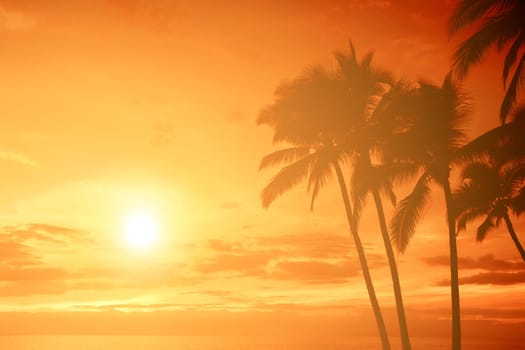 Tropical sunset