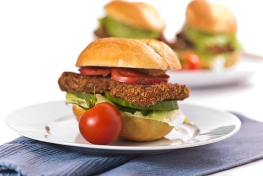Schnitzel rolls on a white background with fresh tomato,salad and cucumbers