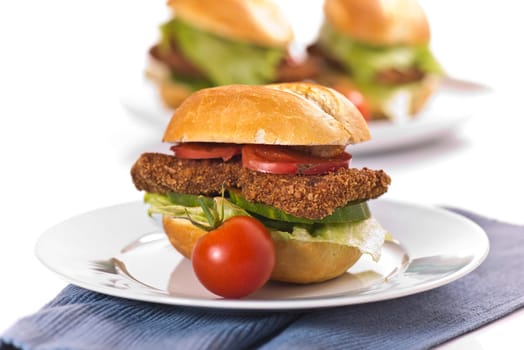 Schnitzel rolls on a white background with fresh tomato,salad and cucumbers