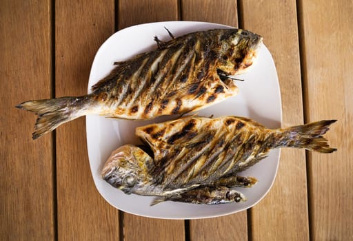 Grilled gilthead fish overhead close up shoot.