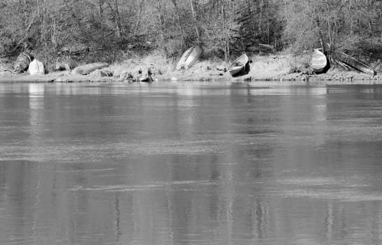 Rowboats on Shore by River with trees behind them.